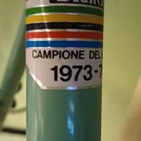 bici da corsa bianchi campagnolo