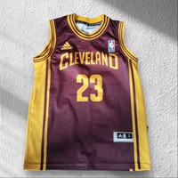 Maglia di James Basket