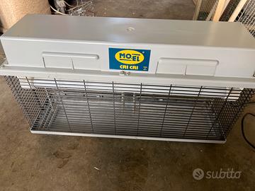 Elimina moschini mo.el cri cri