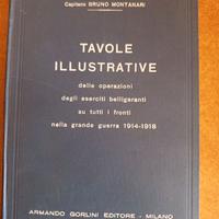 Tavole della grande Guerra