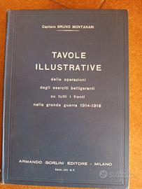 Tavole della grande Guerra