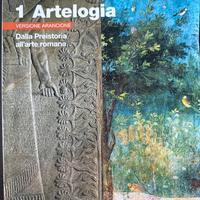 Libro di Arte