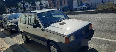 fiat panda young