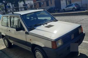 fiat panda young