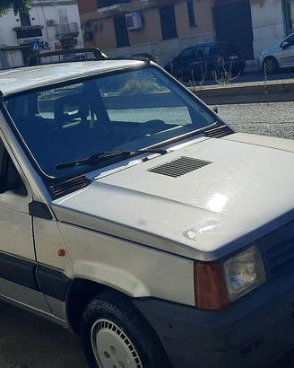 fiat panda young