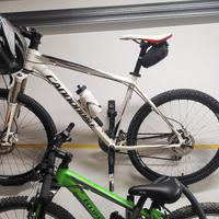 Cannondale XTrail