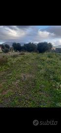 Terrasini contrada paterna