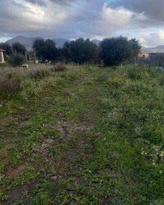 Terrasini contrada paterna