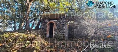 Terreno 3.700 mq a linguaglossa