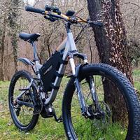 MTB E-BIKE  ENDURO  Giant  Trance X2 5.0.