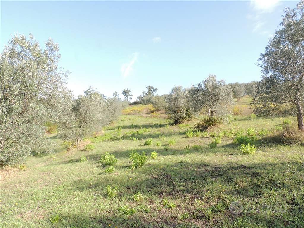 Rustico / Casale di 350 m² con 1 locale a Penna in - Altro