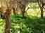 Immagine 14
