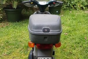 piaggio free