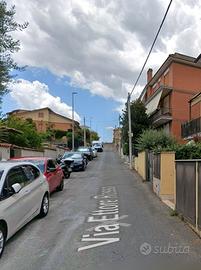 Selva candida trilocale arredato