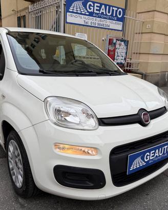 Fiat Panda 1.0 FireFly S&S Benzina/ Hybrid pronta 