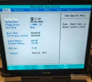 schermo 15" LCD 30pin Toshiba LTM15C503C