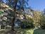 Immagine 29