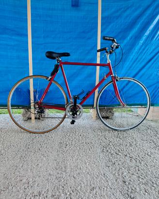 Bici da corsa