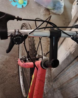 Mountain bike donna 