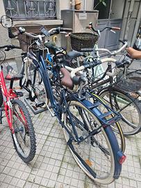 ELOPS LOW-FRAME CITY BIKE (Step-Through) Fully equ