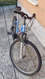 Mountain-bike ruota 26