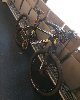 bicicletta 