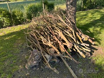 Legna Rami di Gelso - 2 Cumuli