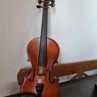 Violino