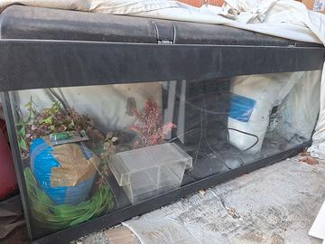 Acquario 100l completo di accessori e decori