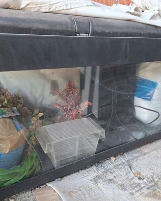 Acquario 100l completo di accessori e decori