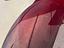 Immagine 10