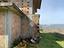 Immagine 26