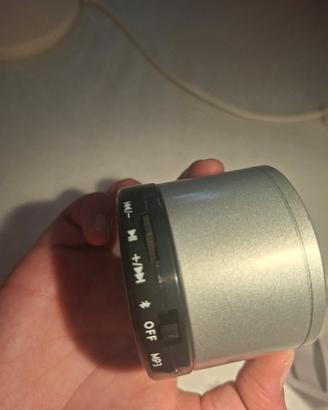 cassa Bluetooth 