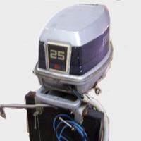 Evinrude 25/35 - LEGGI BENE