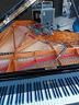 accordatore-e-riparatore-pianoforti-in-nord-italia