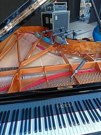 Accordatore e riparatore pianoforti in Nord Italia