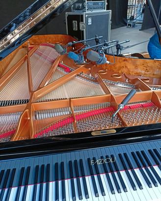 Accordatore e riparatore pianoforti in Nord Italia