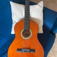 Chitarra DAM