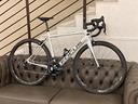 bdc-focus-izalco-race