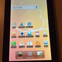 Samsung Galaxy Tab - Modello GT-P1000