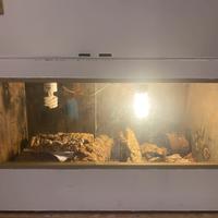 Terrario in legno