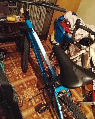 Mountain bike 