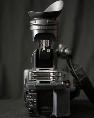 videocamera professionale 