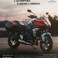 Triumph Tiger Sport 660 - 2022