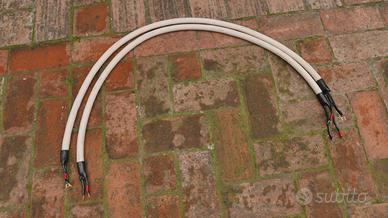 Cavo diffusori Tara Labs Quantum II