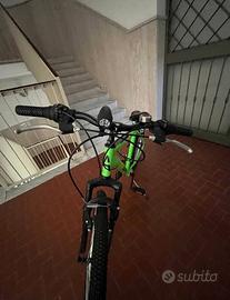 Mountain Bike Aurelia 26