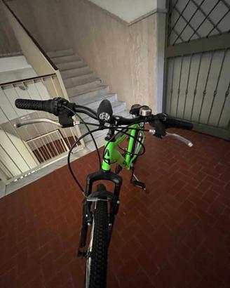 Mountain Bike Aurelia 26