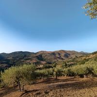 Terreno agricolo panoramico di 9.000 m