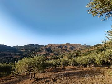 Terreno agricolo panoramico di 9.000 m