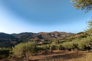 Terreno agricolo panoramico di 9.000 m